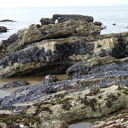 CoastCamp 105 : CoastCamp